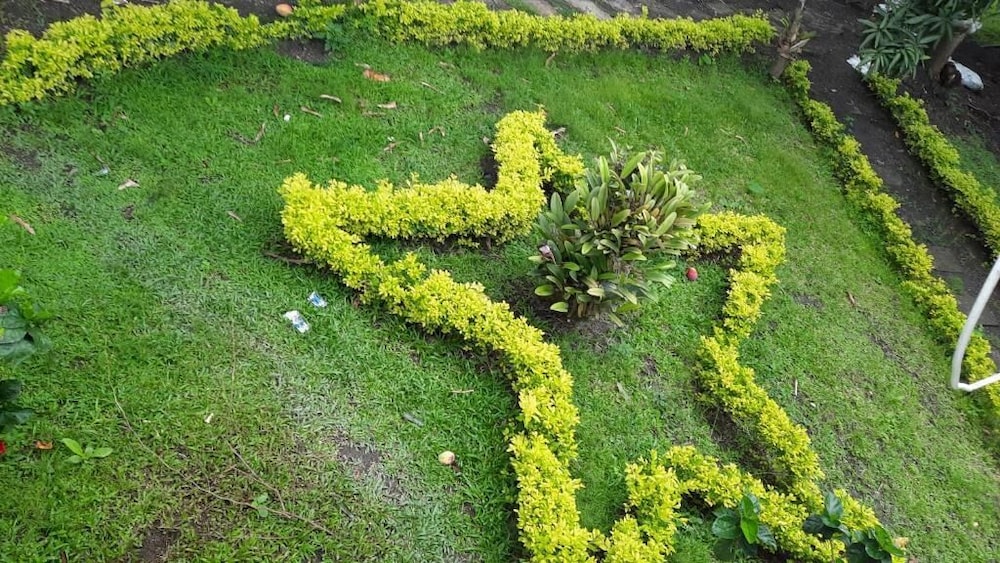 sede campestre pena negra