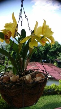 sede campestre pena negra