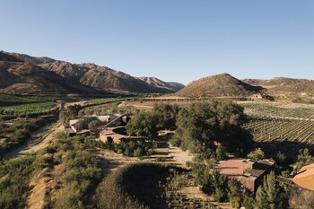 valle de guadalupe