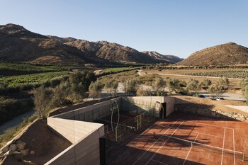 valle de guadalupe