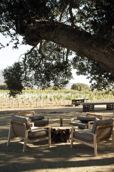 valle de guadalupe