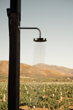 valle de guadalupe