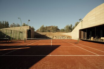 valle de guadalupe