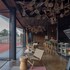 bruma wine resort