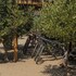 bruma wine resort