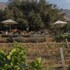 bruma wine resort