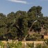 valle de guadalupe