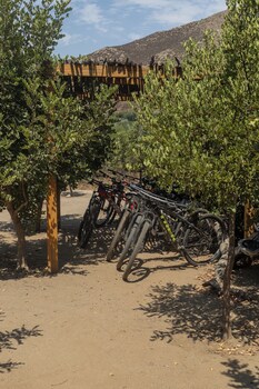 bruma wine resort
