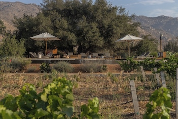 bruma wine resort
