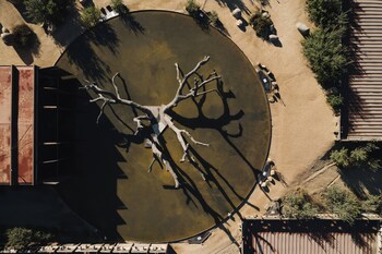 valle de guadalupe