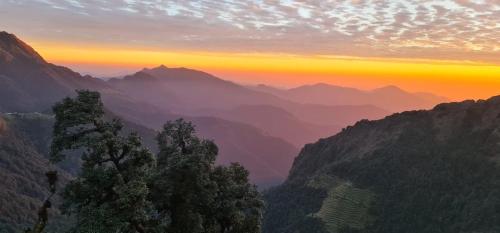 The Wild Arena Dhanaulti,,2 star