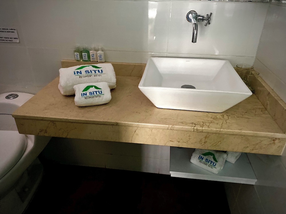 insitu recovery hotel