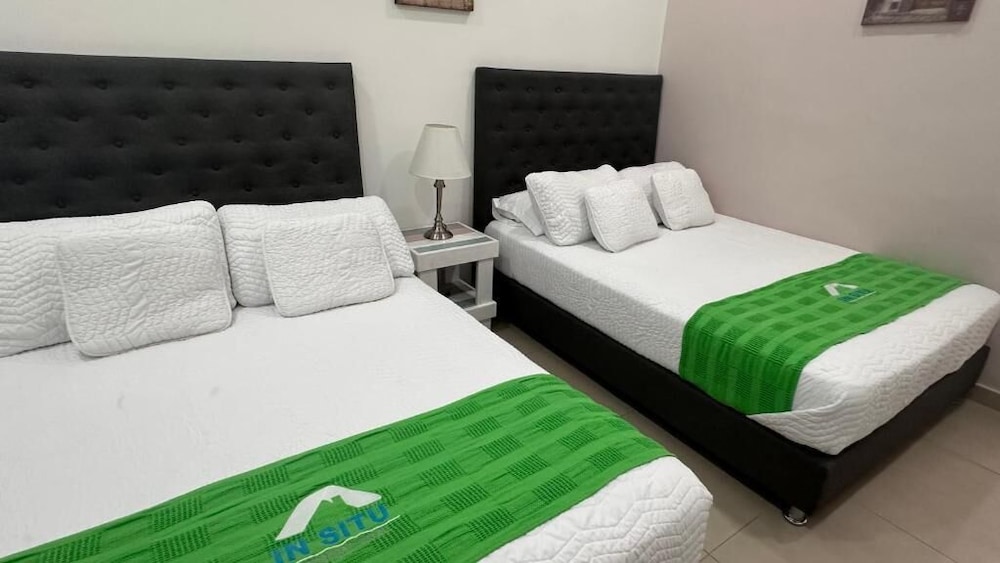 insitu recovery hotel