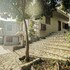 delphi