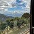 delphi