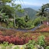 jvr island in the sky resort