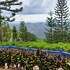 jvr island in the sky resort