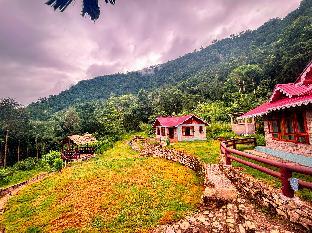 lungzhong retreat silk route