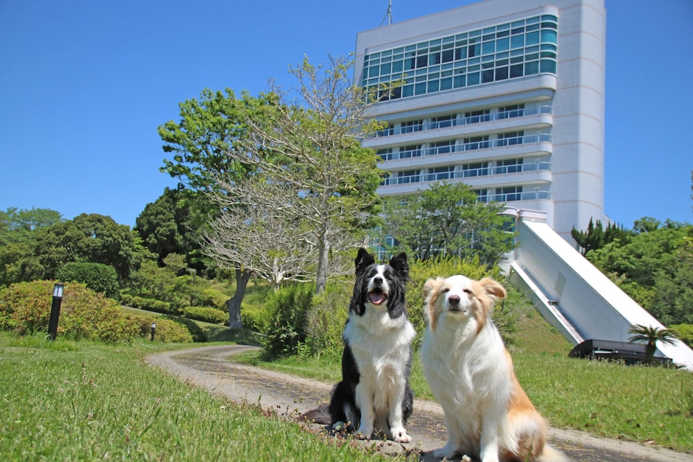 nanki shirahama wan wan paradise