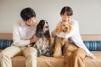 nanki shirahama wan wan paradise