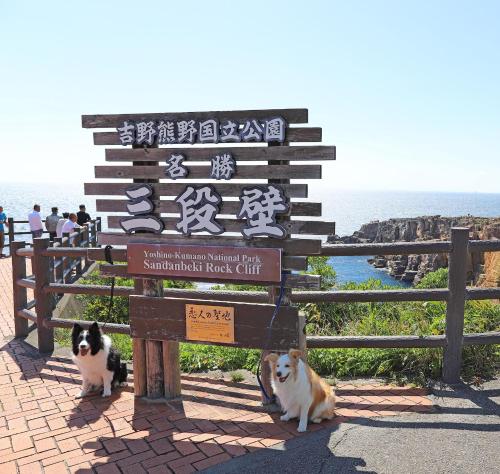 nanki shirahama wan wan paradise