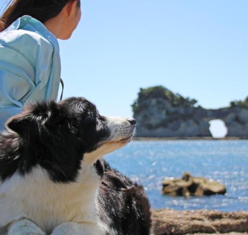 nanki shirahama wan wan paradise