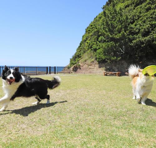 nanki shirahama wan wan paradise