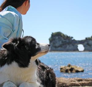 nanki shirahama wan wan paradise