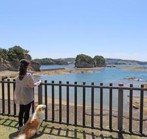kamitonda