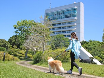 nanki shirahama wan wan paradise