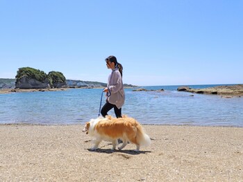 nanki shirahama wan wan paradise