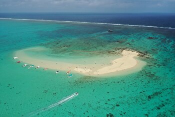 ishigaki