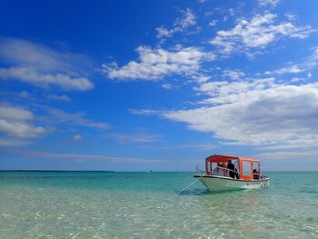 ishigaki
