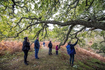 An Spiris Accommodation At Dundreggan Rewilding Centre,,3 star