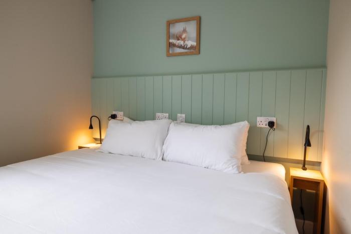 an spiris accommodation at dundreggan rewilding centre