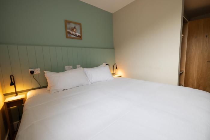 an spiris accommodation at dundreggan rewilding centre
