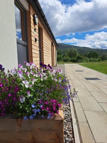 an spiris accommodation at dundreggan rewilding centre