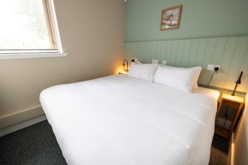 an spiris accommodation at dundreggan rewilding centre