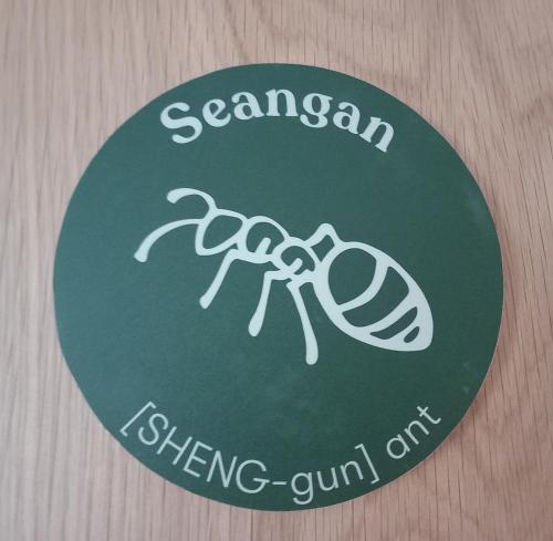 an spiris accommodation at dundreggan rewilding centre