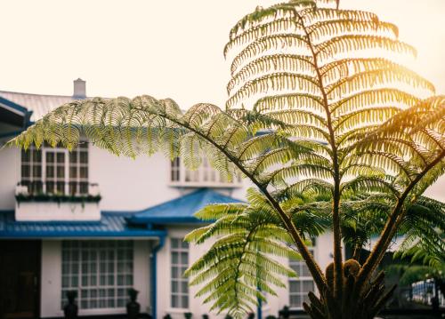 aaradhya nuwara eliya