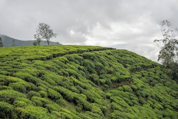 aaradhya nuwara eliya