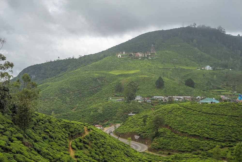 nuwara eliya