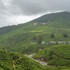 nuwara eliya