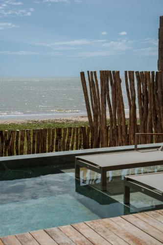 cajueiro da praia
