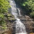 tellico plains