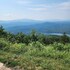 tellico plains