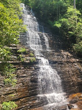 tellico plains