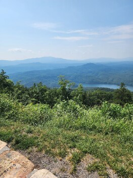 tellico plains