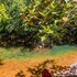 glamping rio claro