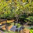 glamping rio claro
